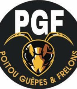 Logo de l'entreprise Poitou Guêpes et Frelons